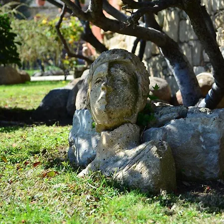 فندق Ada Bacchus