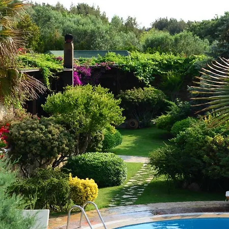 Otel Ada Bacchus