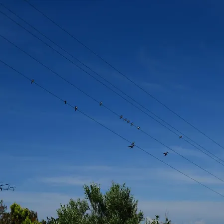 Ada Bacchus Otel Bozcaada