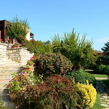 Otel Ada Bacchus