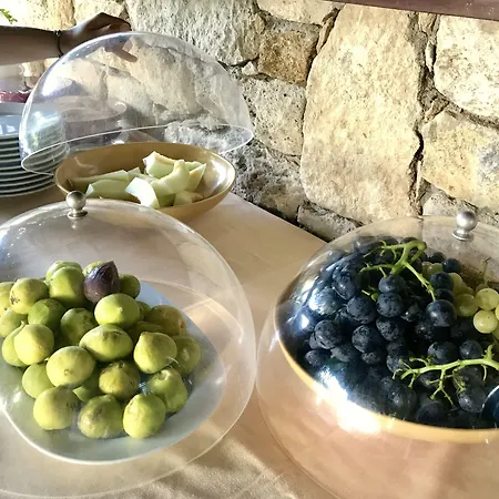 Ada Bacchus 2*