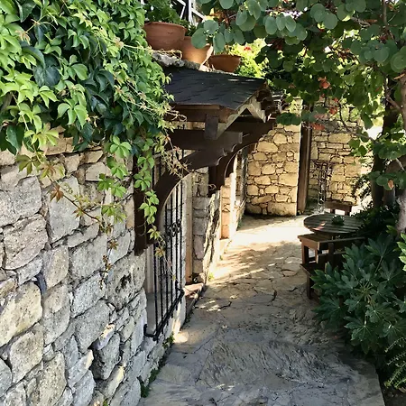 Ada Bacchus Bozcaada