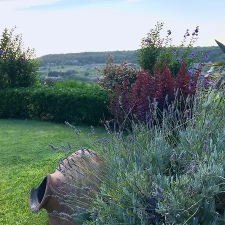 Ada Bacchus Bozcaada