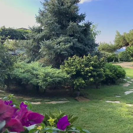 Ada Bacchus 酒店 博兹贾阿达岛