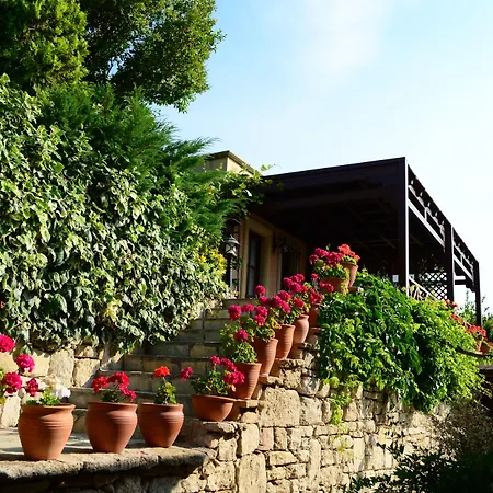 Ada Bacchus Bozcaada