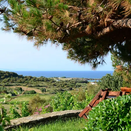 Hotel Ada Bacchus Bozcaada