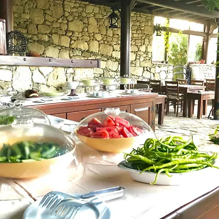 Ada Bacchus Otel