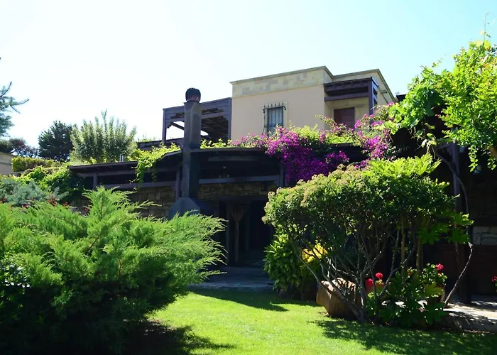 Ada Bacchus 2* 보즈자아다