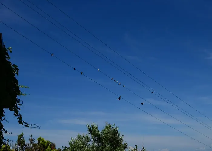 Ada Bacchus 호텔 보즈자아다