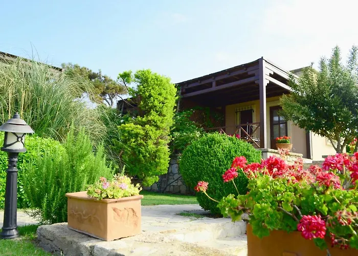 Ada Bacchus 호텔 보즈자아다