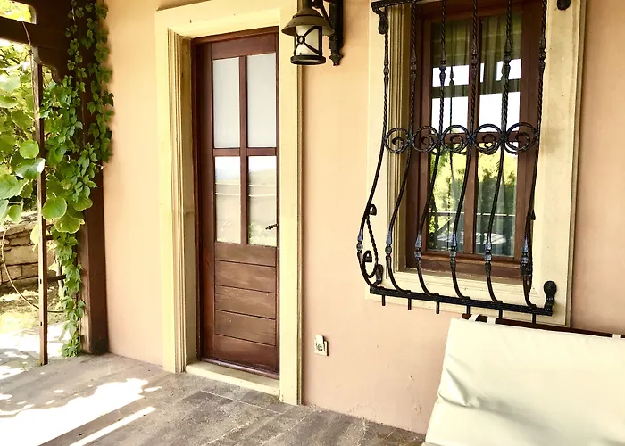 Ada Bacchus 보즈자아다