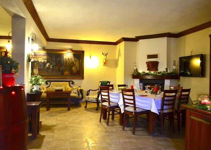 Ada Bacchus 보즈자아다