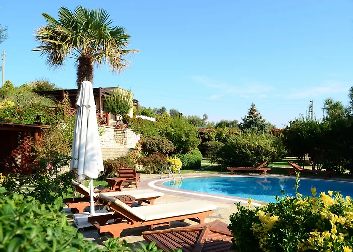 Ada Bacchus 2* 보즈자아다