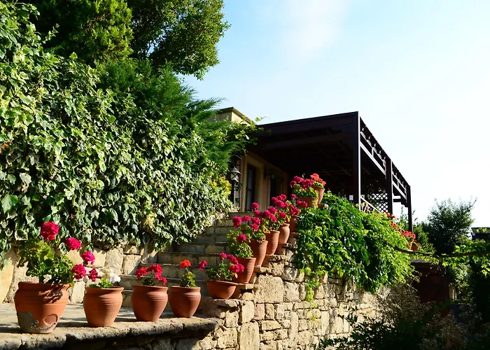 Ada Bacchus 보즈자아다