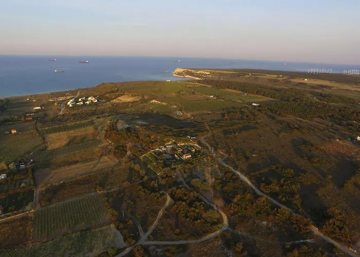 호텔 Ada Bacchus 2*